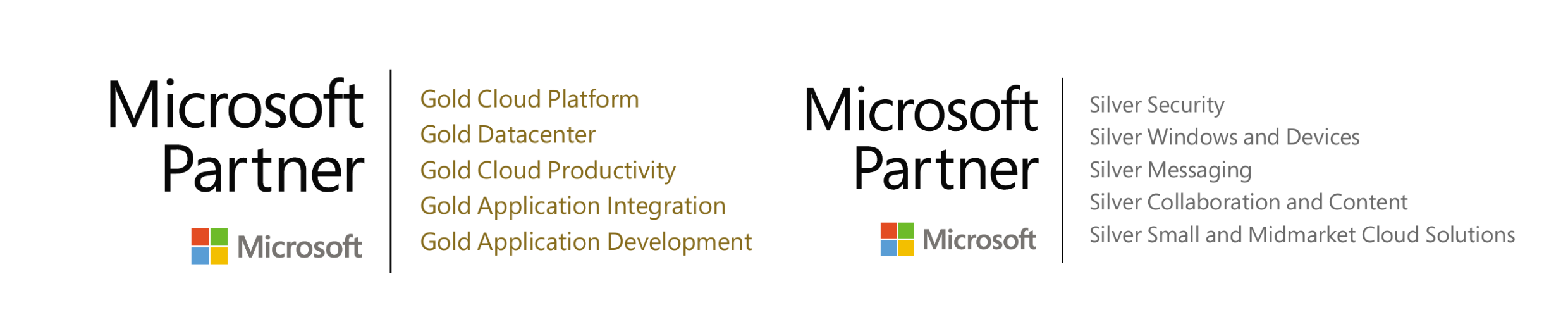 Microsoft Partner